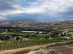 Bannockburn_Vineyards_4x3