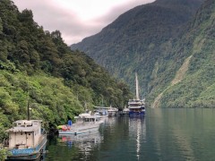 Doubtful_Sound_Fishing_Fleet_4x3