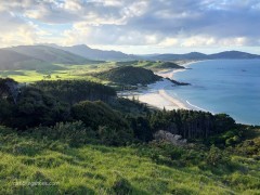 First_and_still_favorite_trail_Whangarei_Heads_4x3