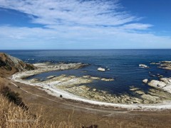 Kaikoura_Sea_Ledge_4x3