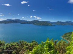 Marlborough_Sounds_4x3