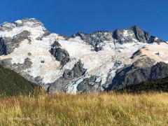 Summer_Grasses_framing_Shrinking_Glaciers_4x3