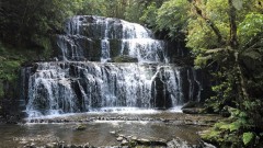 Catlins_Cake_Falls