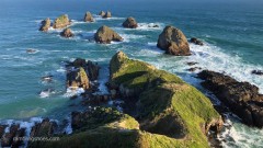 Catlins_Coastline