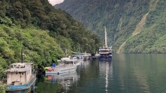 Doubtful_Sound_Fishing_Fleet