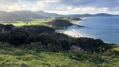 First_and_still_favorite_trail_Whangarei_Heads