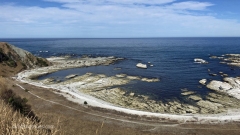 Kaikoura_Sea_Ledge