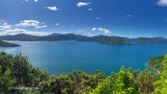 Marlborough_Sounds