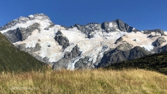 Summer_Grasses_framing_Shrinking_Glaciers