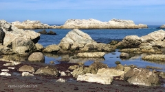 Ward_Beach_Rocks