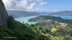 Whangaroa_Harbour