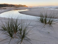 Corom3