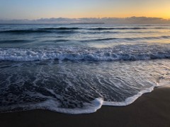 Covid_Update_08