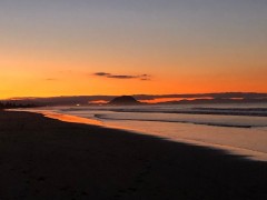 Covid_Update_09