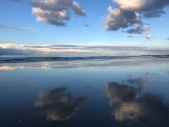 Covid_Update_12