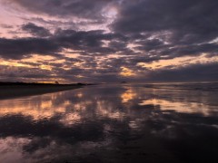 Covid_Update_14