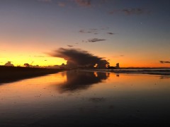 Covid_Update_15