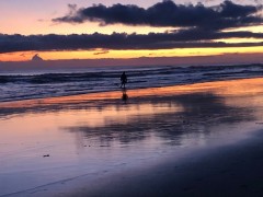 Covid_Update_18