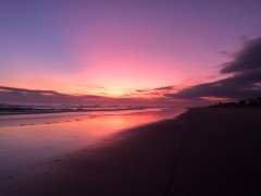 Covid_Update_19
