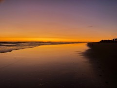 Covid_Update_22