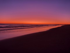 Covid_Update_24