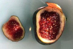 But the figs were divine!