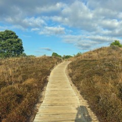 And the very familiar, yet always welcome, boardwalk across the dunes
