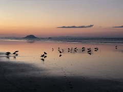LockDown_Skies_17