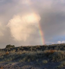 LockDown_Skies_31