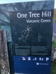 Just one of the dozens of volcanic cones around Auckland City