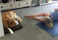 HouseSit_25