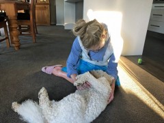 HouseSit_06