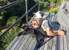 HouseSit_33