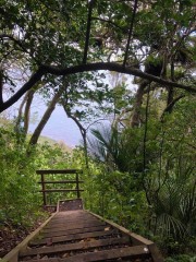 The steps and steps to Peach Cove