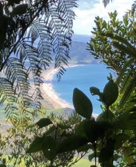 First glimpse of Ocean Beach