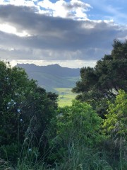 I can't describe or capture the beauty of the simple green hills here