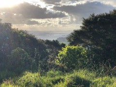 More astounding trail views