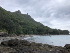 On Peach Cove looking up to the rock formations which are next on the hike