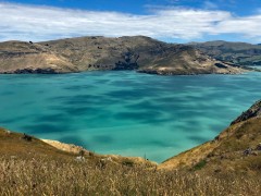 Lyttleton Harbour