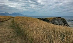Week10_Mon_10