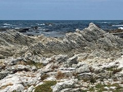 Week10_Mon_17