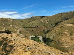Driving NZ roads is always fun