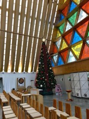 The "Cardboard Cathedral"