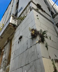 Week11_Sat_18