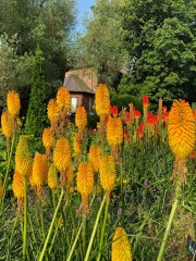 Christchurch Botanic Gardens