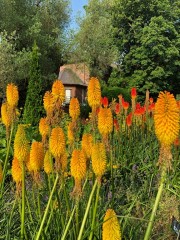 Christchurch Botanic Gardens