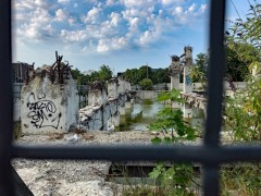 The seagulls are going to lose their colony when reconstruction begins in this block