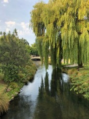 The Avon River