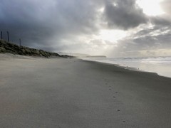Week12_Tue_02