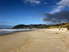 What a difference from my first day's walk at St Clair